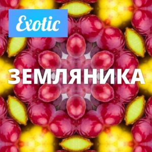 Exotic ЗЕМЛЯНИКА 10мл