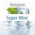 Hangsen Super Mint 10 мл