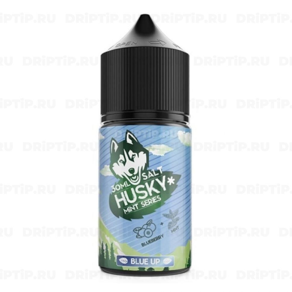 Жидкость Husky Mint Series Salt - Blue Up