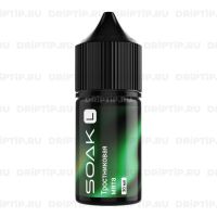 Soak L Salt - Тростниковая Мята