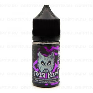 Freeze Breeze Salt - Forest Berry