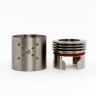 Mutation X V3 RDA