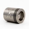 Mutation X V3 RDA
