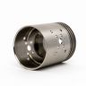 Mutation X V3 RDA