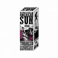 Time Travel Machine - American Sun