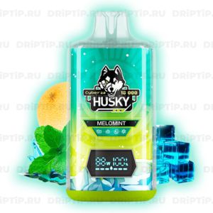 Husky Cyber 2.0 18000 - Melomint