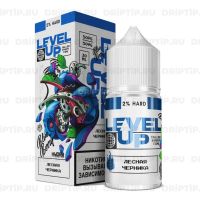 Level Up Ice Salt - Лесная Черника
