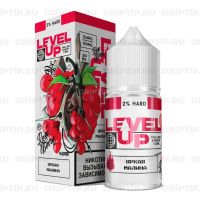 Level Up Ice Salt - Яркая Малина