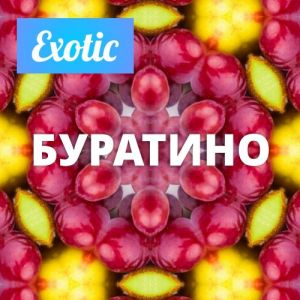Exotic БУРАТИНО 10мл